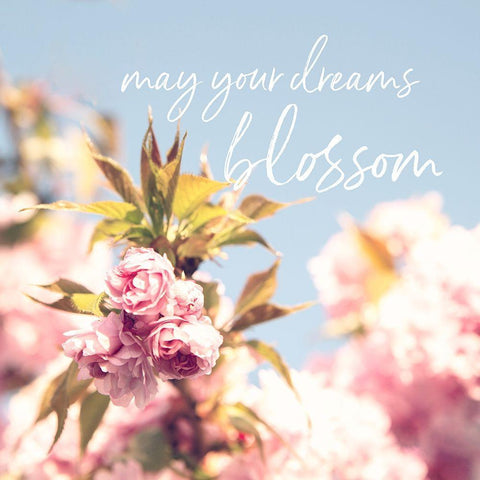 May Your Dreams Blossom White Modern Wood Framed Art Print with Double Matting by Susannah Tucker Photography