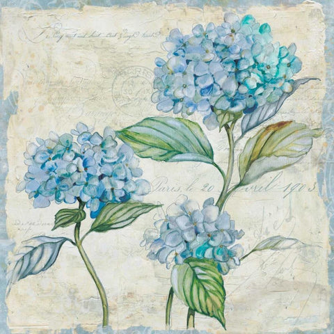 Studio Field Sketch 1 Gold Ornate Wood Framed Art Print with Double Matting by Studio Rofino