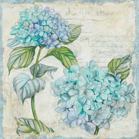 Studio Field Sketch 2 Black Ornate Wood Framed Art Print with Double Matting by Studio Rofino