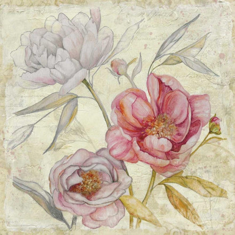 Studio Field Sketch 3 Gold Ornate Wood Framed Art Print with Double Matting by Studio Rofino