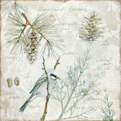 Outdoor Diary 1 Black Modern Wood Framed Art Print by Studio Rofino