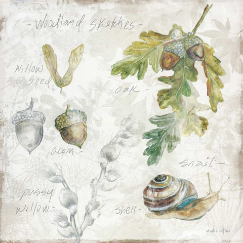 Outdoor Diary 2 Black Modern Wood Framed Art Print by Studio Rofino