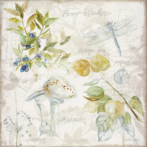 Outdoor Diary 3 Black Modern Wood Framed Art Print with Double Matting by Studio Rofino