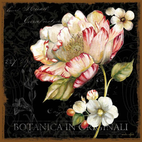 Dusk Flower 2 White Modern Wood Framed Art Print with Double Matting by Studio Rofino