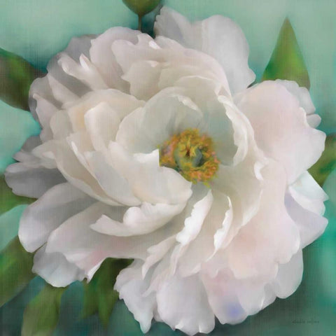 Floral Grace White Modern Wood Framed Art Print with Double Matting by Studio Rofino