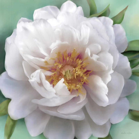 Floral Muse White Modern Wood Framed Art Print by Studio Rofino