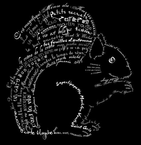 French Squirel Black Black Ornate Wood Framed Art Print with Double Matting by De Lauzun, Marion