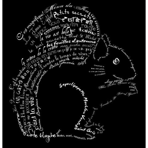 French Squirel Black Black Modern Wood Framed Art Print with Double Matting by De Lauzun, Marion