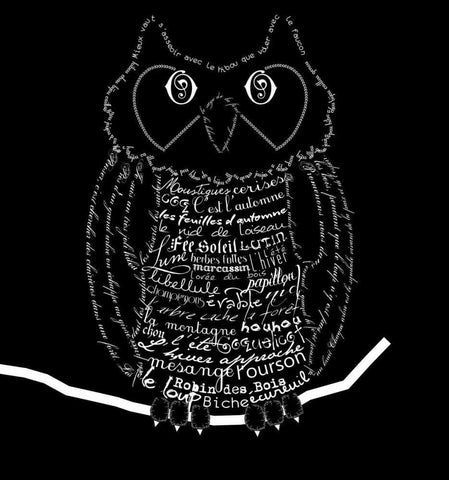 French Owl Black Black Ornate Wood Framed Art Print with Double Matting by De Lauzun, Marion