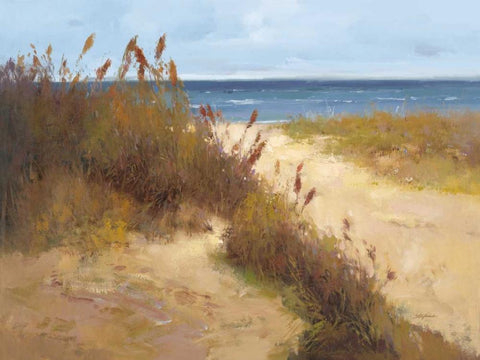 Beach Trail 2 Black Ornate Wood Framed Art Print with Double Matting by Stefano