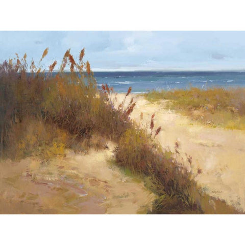 Beach Trail 2 Black Modern Wood Framed Art Print by Stefano
