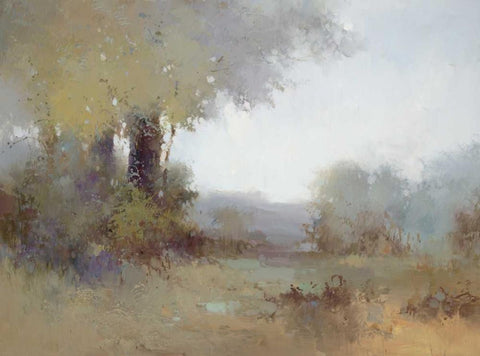 Morning View Black Ornate Wood Framed Art Print with Double Matting by Zhang, Jan