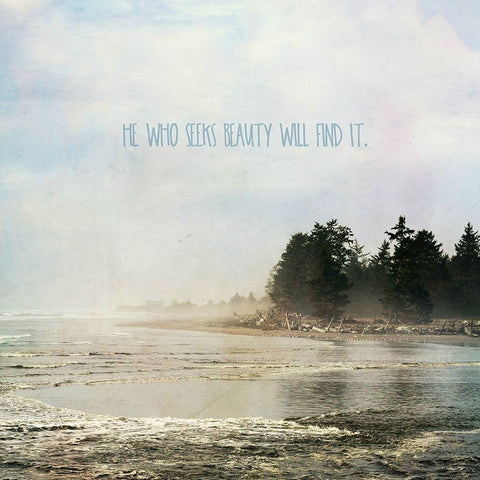 He Who Seeks Beauty White Modern Wood Framed Art Print with Double Matting by Dickinson, Robin