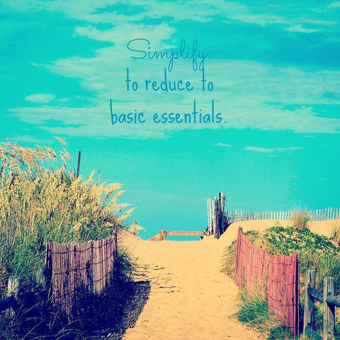 Simplify Black Ornate Wood Framed Art Print with Double Matting by Dickinson, Robin