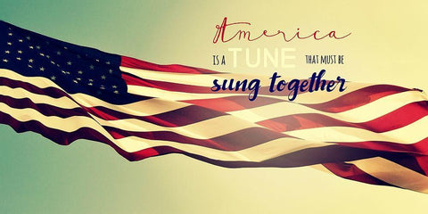 America Together White Modern Wood Framed Art Print with Double Matting by Dickinson, Robin