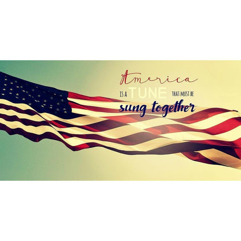 America Together Black Modern Wood Framed Art Print by Dickinson, Robin