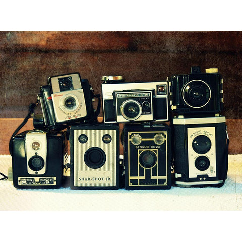 Vintage Camera Collection Gold Ornate Wood Framed Art Print with Double Matting by Dickinson, Robin