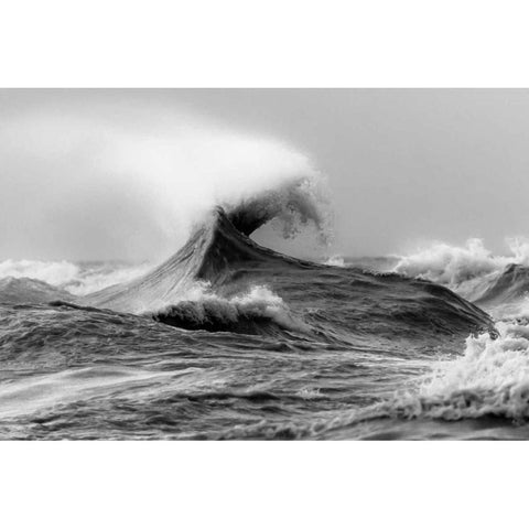 November Gales 1 Gold Ornate Wood Framed Art Print with Double Matting by Mark Spowart Photography