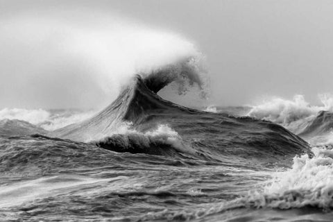 November Gales 1 Black Ornate Wood Framed Art Print with Double Matting by Mark Spowart Photography