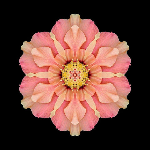 Kaleidoscope Hibiscus Black Modern Wood Framed Art Print by Bookbinder, David