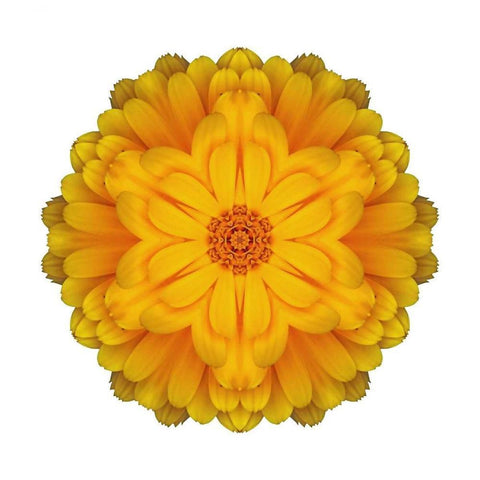 Kaleidoscope Marigold Black Modern Wood Framed Art Print with Double Matting by Bookbinder, David