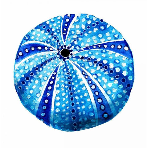 Sea Blue Urchin White Modern Wood Framed Art Print by Smith, Crystal