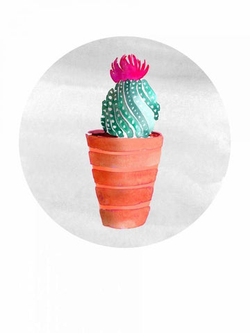 Mojave Cactus 2 White Modern Wood Framed Art Print with Double Matting by Smith, Crystal