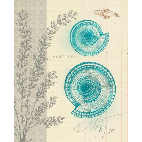 Sea Life 4 Gold Ornate Wood Framed Art Print with Double Matting by Z Studio