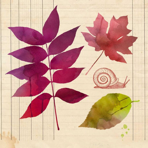 Archive Interpretations 1 White Modern Wood Framed Art Print by Z Studio