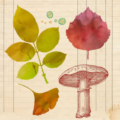 Archive Interpretations 2 Black Modern Wood Framed Art Print with Double Matting by Z Studio