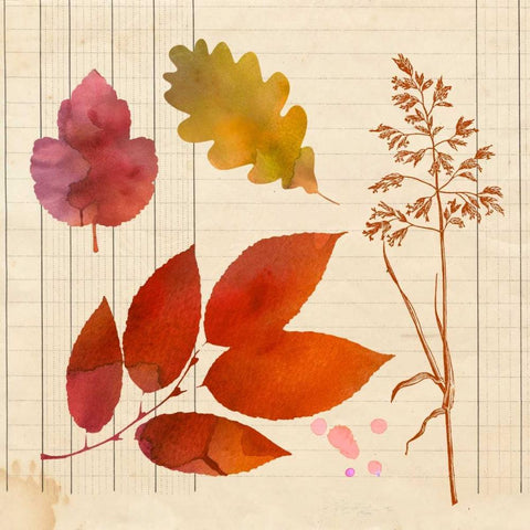 Archive Interpretations 3 Black Modern Wood Framed Art Print with Double Matting by Z Studio