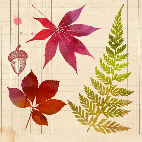 Archive Interpretations 4 Black Modern Wood Framed Art Print by Z Studio