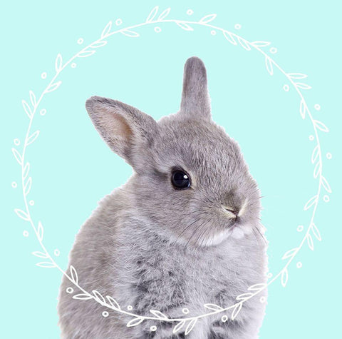 Bunny Dreams White Modern Wood Framed Art Print with Double Matting by Z Studio