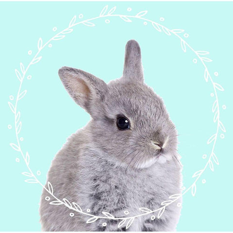 Bunny Dreams White Modern Wood Framed Art Print by Z Studio