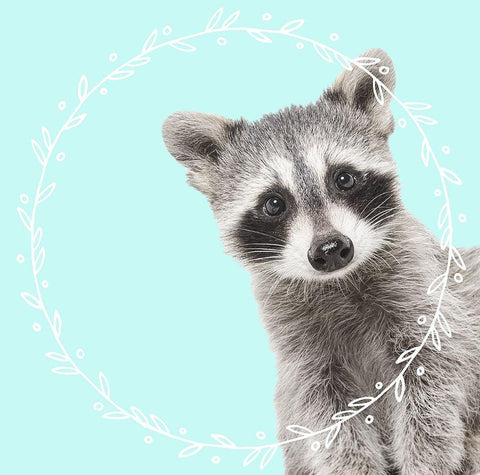 Raccoon Dreams White Modern Wood Framed Art Print with Double Matting by Z Studio