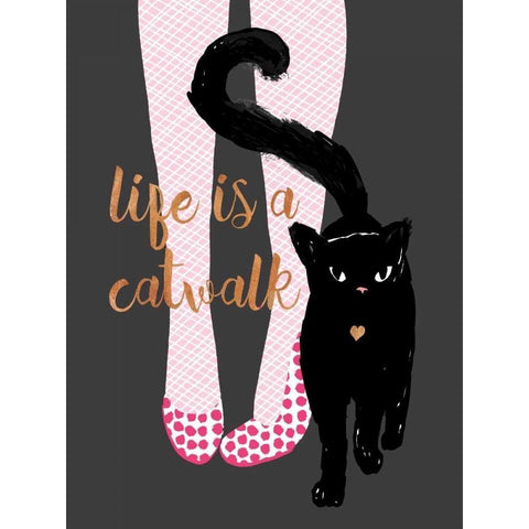 Catwalk Black Modern Wood Framed Art Print with Double Matting by Dos Santos, Bella