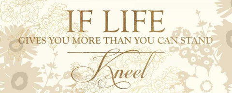 IF LIFE GIVES YOU MORE THAN YOU CAN STAND Black Ornate Wood Framed Art Print with Double Matting by Dos Santos, Bella