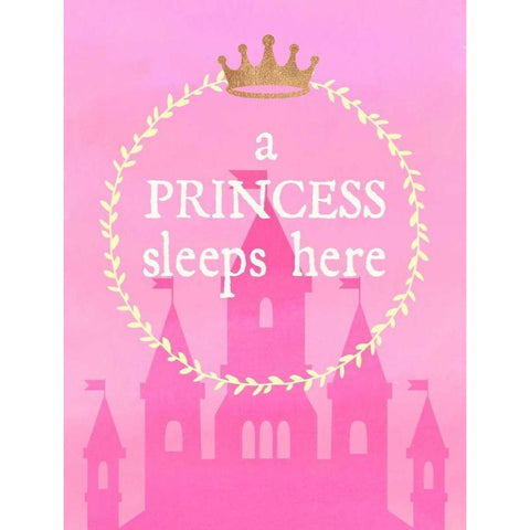 Princess Sleeps Black Modern Wood Framed Art Print with Double Matting by Dos Santos, Bella