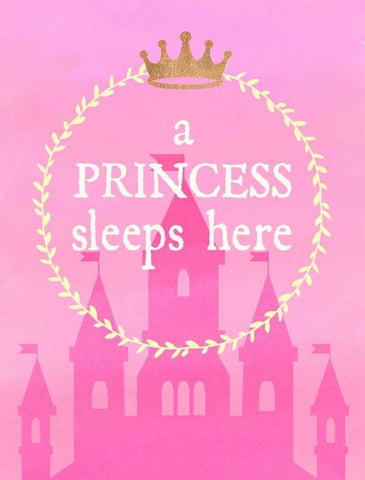 Princess Sleeps Black Ornate Wood Framed Art Print with Double Matting by Dos Santos, Bella