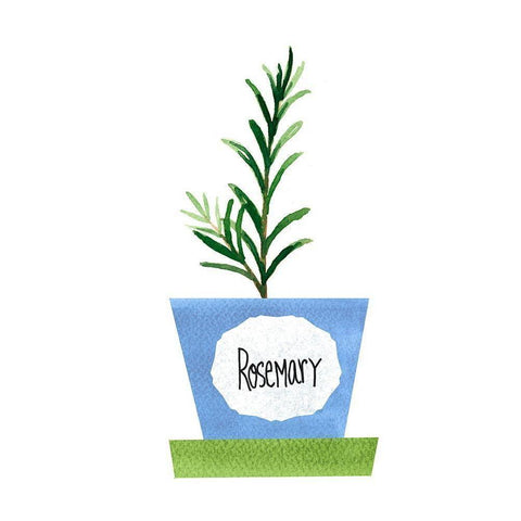 Rosemary Pot White Modern Wood Framed Art Print by Dos Santos, Bella