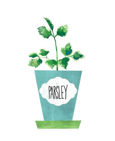 Parsley Pot White Modern Wood Framed Art Print with Double Matting by Dos Santos, Bella