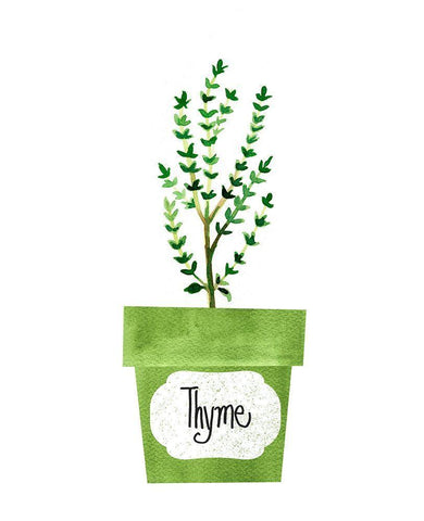 Thyme Pot White Modern Wood Framed Art Print with Double Matting by Dos Santos, Bella