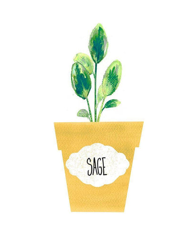 Sage Pot Black Ornate Wood Framed Art Print with Double Matting by Dos Santos, Bella