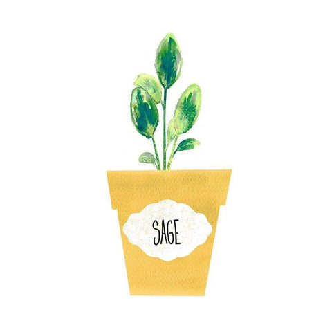 Sage Pot Black Modern Wood Framed Art Print by Dos Santos, Bella