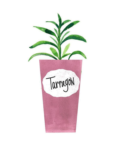 Tarragon Pot White Modern Wood Framed Art Print with Double Matting by Dos Santos, Bella