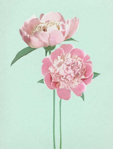 SummerPeonies Black Ornate Wood Framed Art Print with Double Matting by Dos Santos, Bella