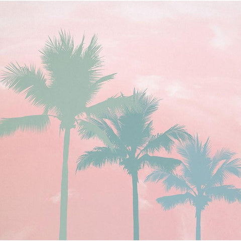 Sunset Palm Trees Black Modern Wood Framed Art Print with Double Matting by Dos Santos, Bella