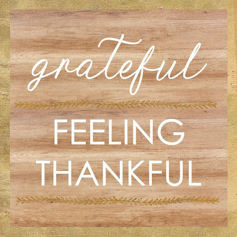 Grateful Feeling Thankful Black Modern Wood Framed Art Print with Double Matting by Dos Santos, Bella