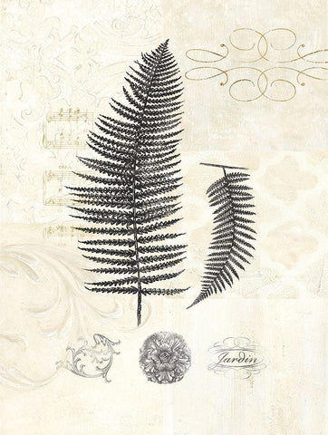 FILIGREE FERN White Modern Wood Framed Art Print with Double Matting by Ross, Devon