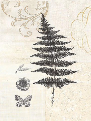 CLASSIC FERN Black Ornate Wood Framed Art Print with Double Matting by Ross, Devon